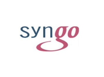 Пользовательский интерфейс syngo